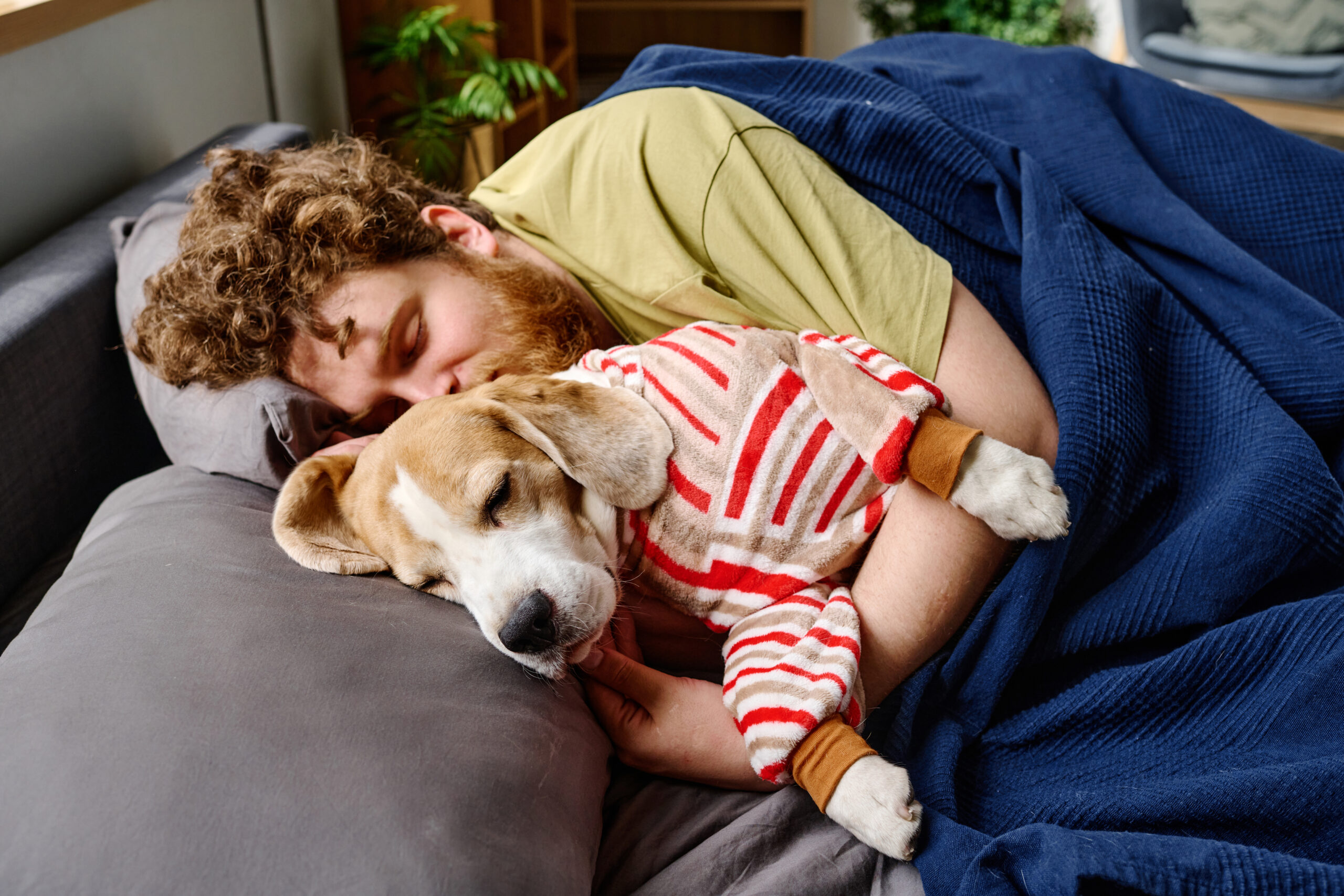 Gaseste un <span>Pet Sitter!</span> 